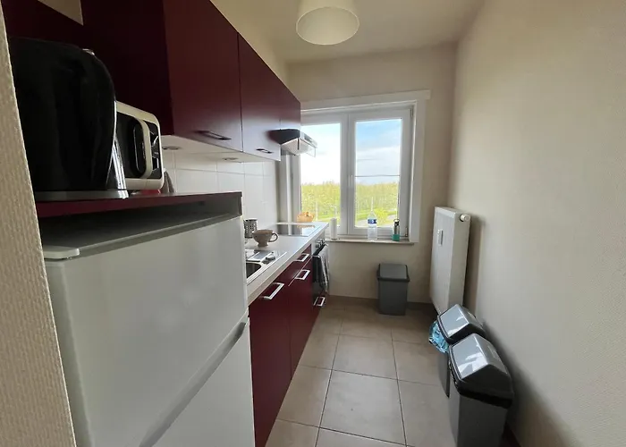 Cozy 2-bedroom Within Walking Distance Of The T62 Appartement Oostende